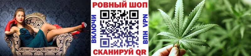МЕФ Тула