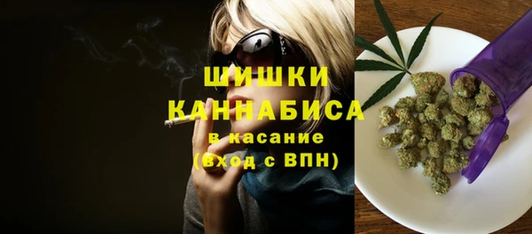 apvp Алзамай