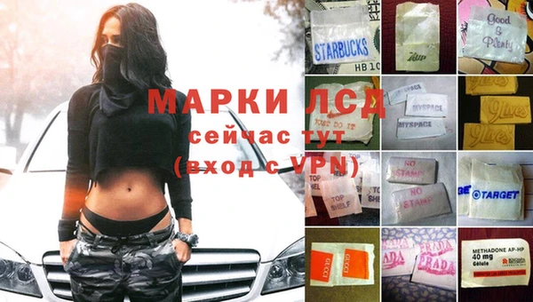 apvp Алзамай