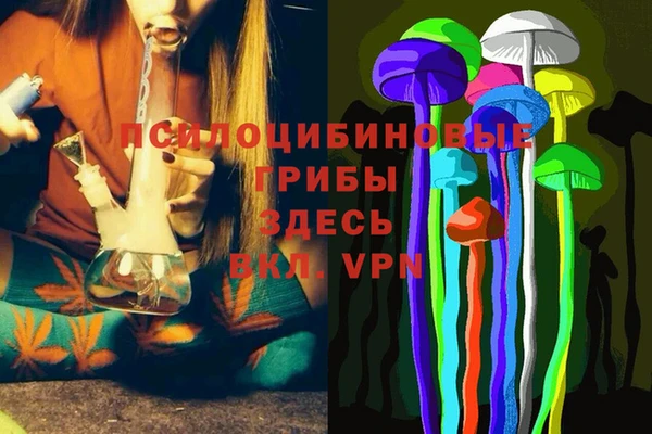 молекула духа Алексеевка