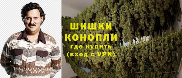молекула духа Алексеевка