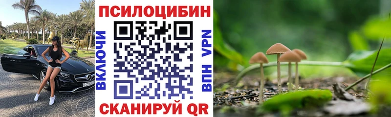 закладки  сайты даркнета какой сайт  KRAKEN ТОР  Галлюциногенные грибы MAGIC MUSHROOMS  Тула 